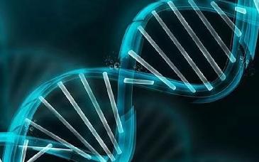 Toda la vida en la Tierra comparte un ancestro común que vivió hace 4 mil millones de años