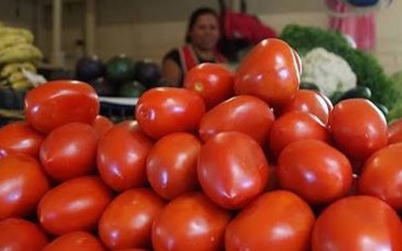 Baja costo de la canasta básica en junio, pero sigue por encima del año pasado
