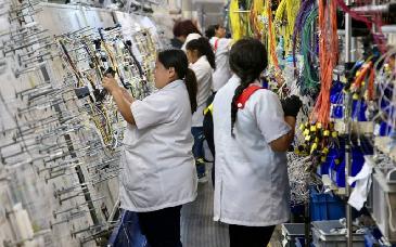 Sonora se ubica en top 10 nacional de participación económica